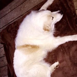 Meet your Posher, Melanie